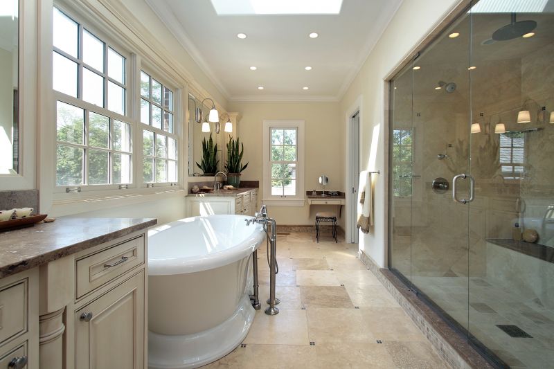 Elegant Shower and Bathtub Combination